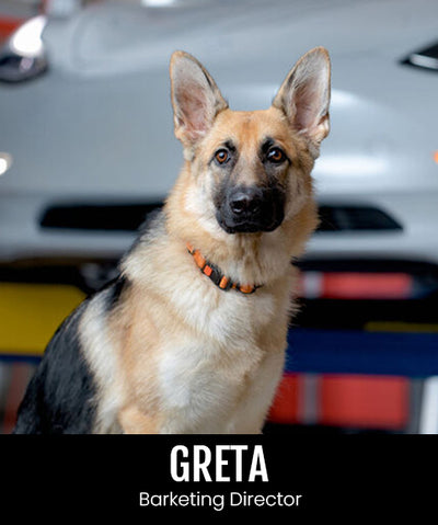 Turbo Tint Dog Greta Goodman Barketing 